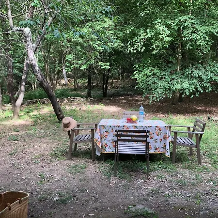 Casa Nel Bosco Sul Golfo Dei Poeti - Ciliegi * Монте-Марчелло