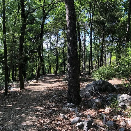Casa Nel Bosco Sul Golfo Dei Poeti - Ciliegi * Монте-Марчелло