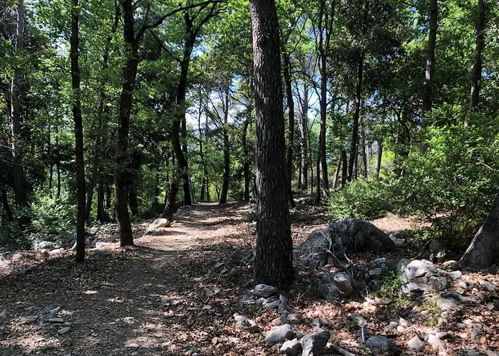 Casa Nel Bosco Sul Golfo Dei Poeti - Ciliegi * Монте-Марчелло
