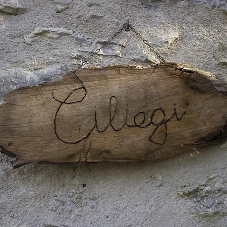 Casa Nel Bosco Sul Golfo Dei Poeti - Ciliegi Montemarcello